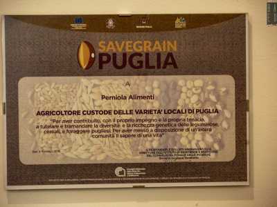 ...il cui lavoro � stato riconosciuto anche dal Cnr, che attraverso il progetto SaveGrainPuglia ha preso in �custodia� dei campioni di questi rari semi, oggi conservati all�interno della banca del germoplasma del Campus di Bari
